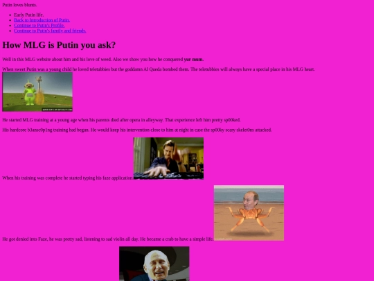 osamabinjihadin screenshot