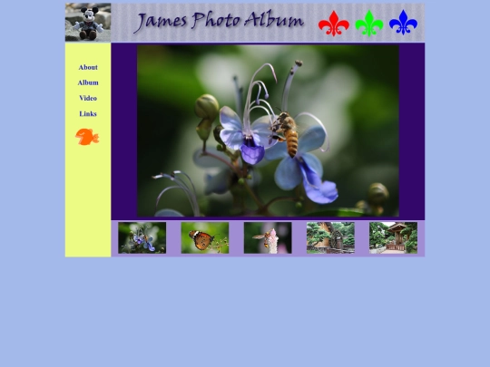 album screenshot
