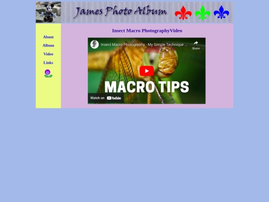 video screenshot