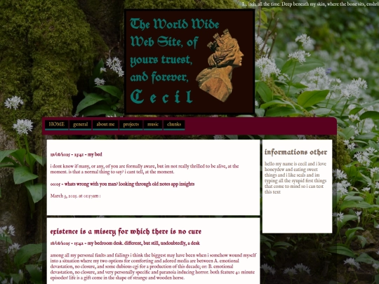 general/feed screenshot