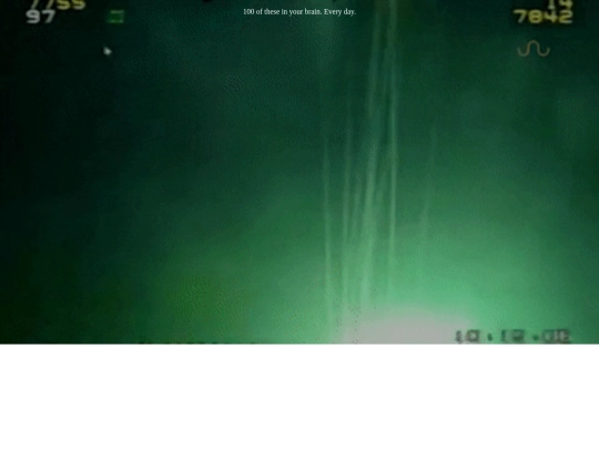 sayonara screenshot