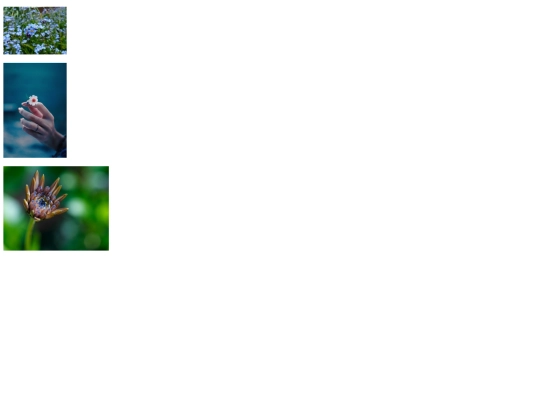CopyRightWork screenshot