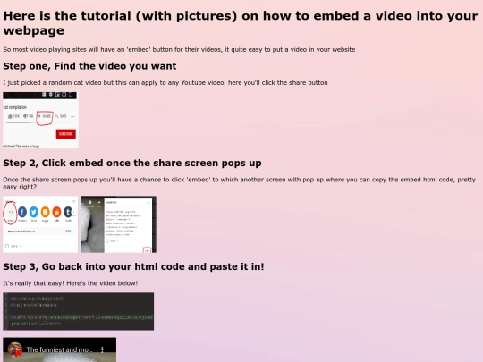 video screenshot