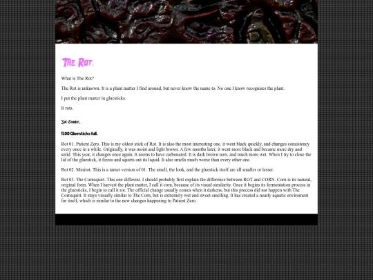 rot-review screenshot