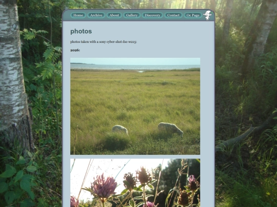 photos screenshot