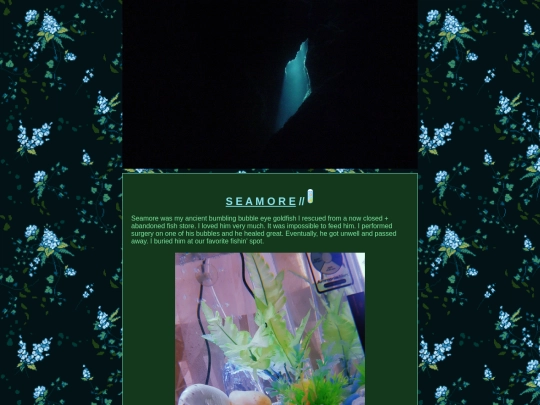 seamore screenshot