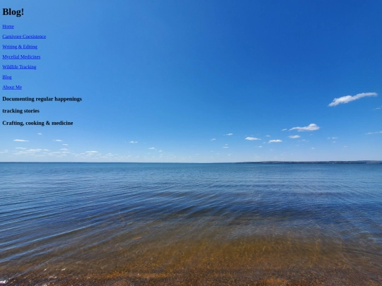 blog screenshot