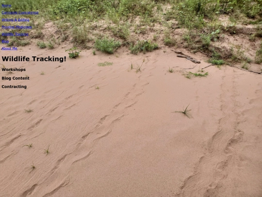 tracking screenshot