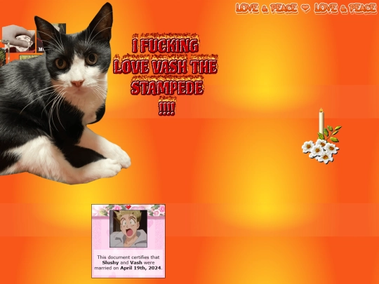 shrimpies screenshot