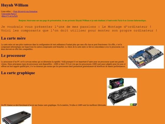 Huynh_William_L1A-Page_Web screenshot