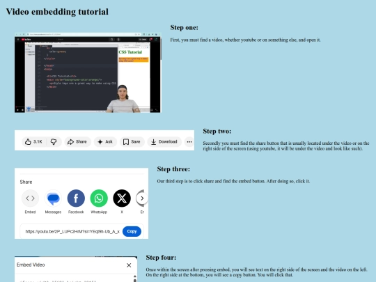video-embedding screenshot
