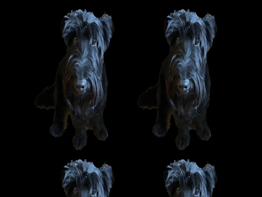 TUCKER screenshot