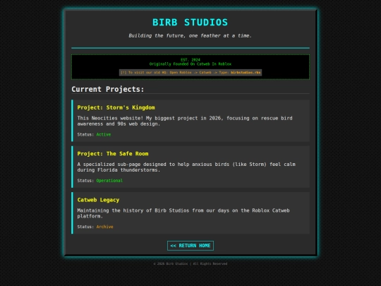 projects screenshot