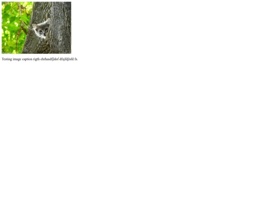 slider screenshot