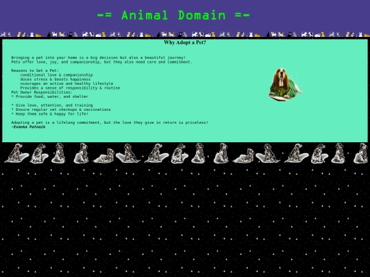 Pet_web screenshot