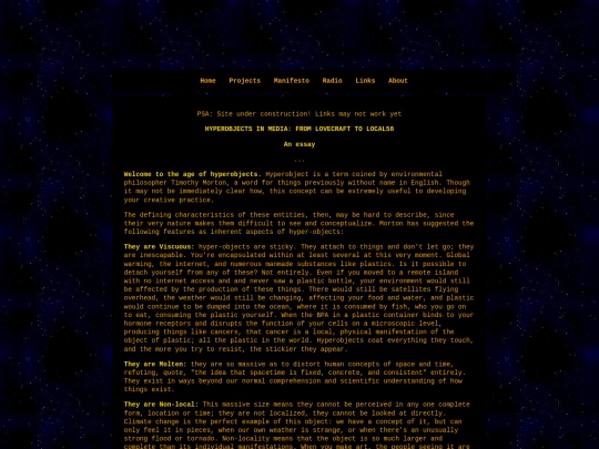 essay screenshot