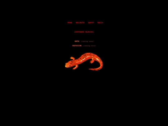 projects screenshot