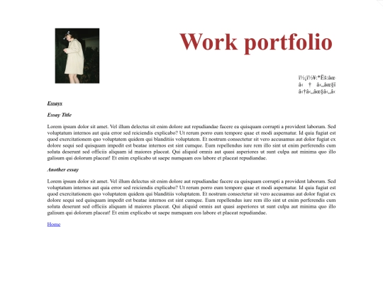 portfolio/essays screenshot