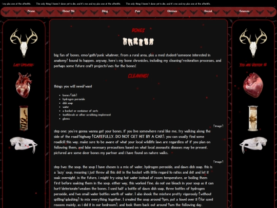 bones screenshot