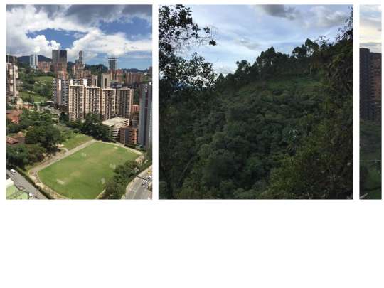 photography-colombia screenshot