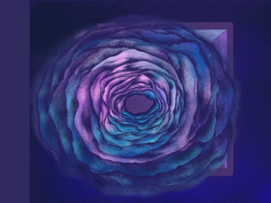 portal screenshot