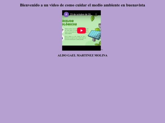 video screenshot