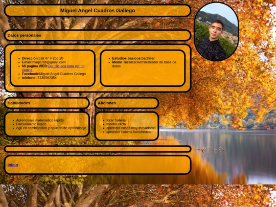 hoja-de-vida screenshot