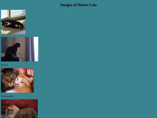 house-cats screenshot