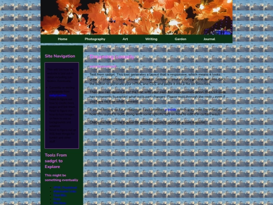 photography screenshot