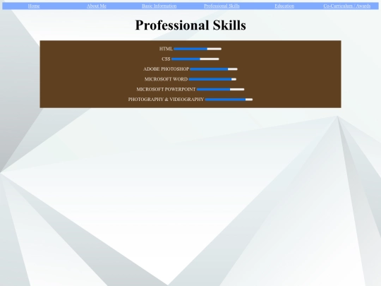 professional skills screenshot