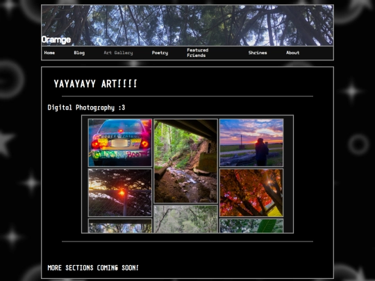 art-gallery screenshot