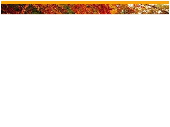 prueba/1 screenshot