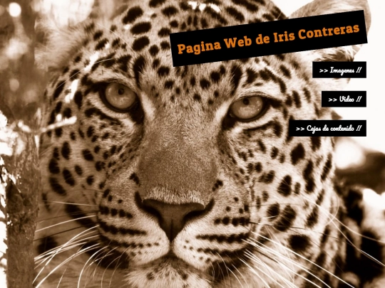 paginaprueba screenshot