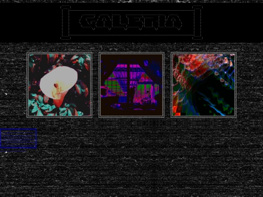 pagina-galeria/galeria screenshot