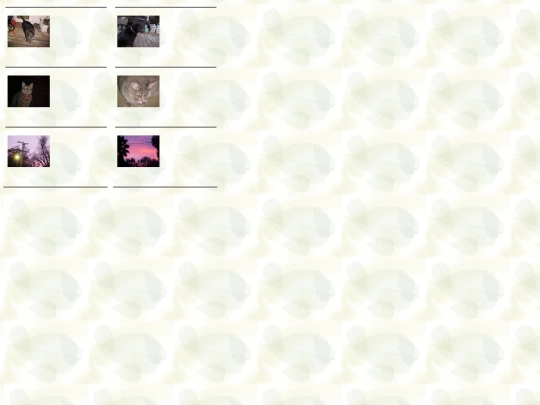 photogallery/photo26003/real screenshot