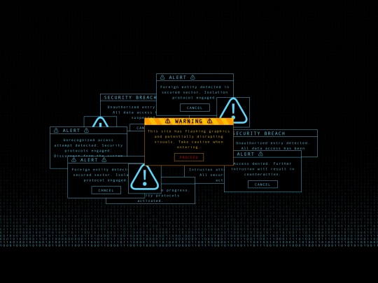 test-CSS/accessgrantedbackup screenshot
