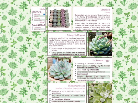test-CSS/layoutfun2 screenshot