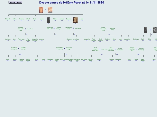 Arbre_genealogiqueHPp screenshot