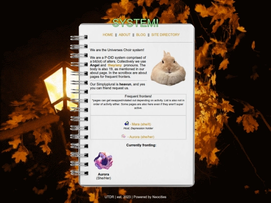 systemv1 screenshot