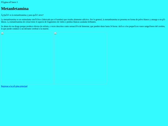 página3 screenshot