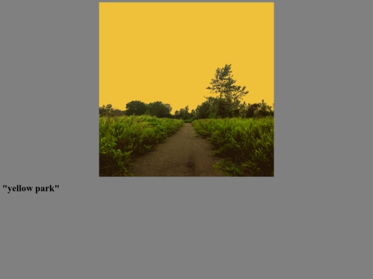 art/new stuff/yellowparkdescription screenshot