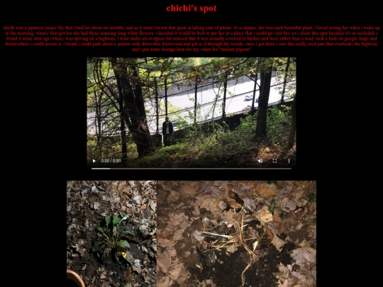 outside/chichispot screenshot
