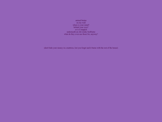 words/animalbrains screenshot