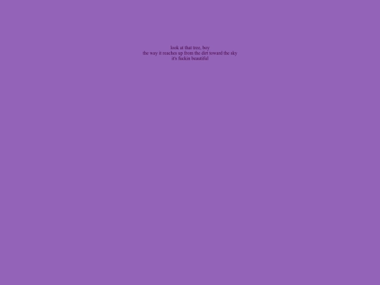 words/lookatthattreeboy screenshot