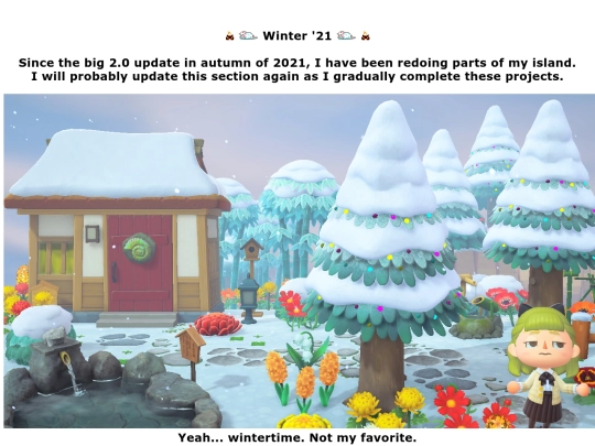 ac/21winter screenshot