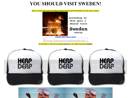 quizzes/swe screenshot