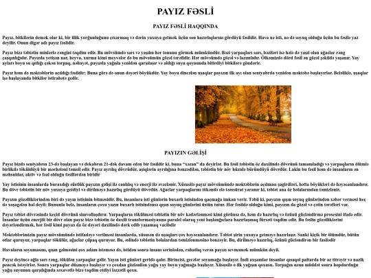 payiz screenshot