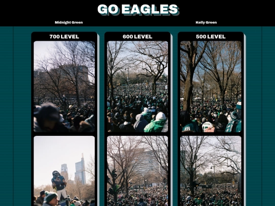 other/eagles screenshot