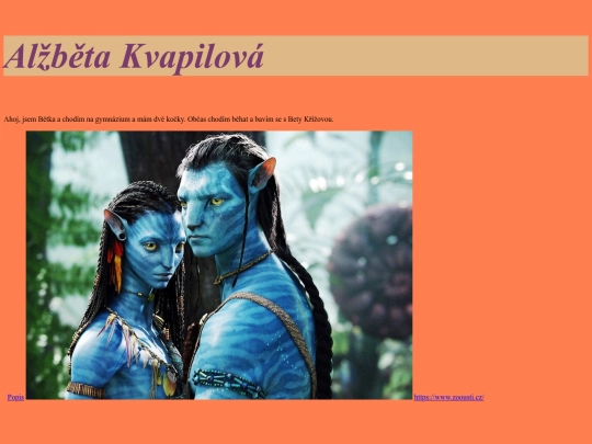 page screenshot