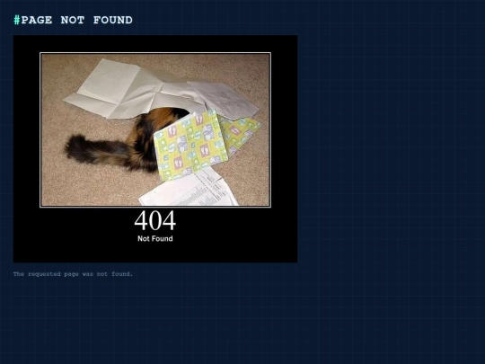 not_found screenshot